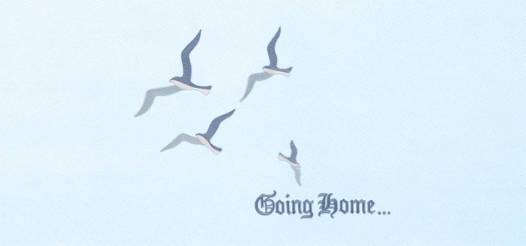 Going Home NEW Birds Blue Blue Faux